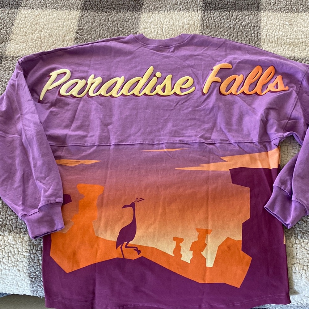 Disney UP spirit jersey !